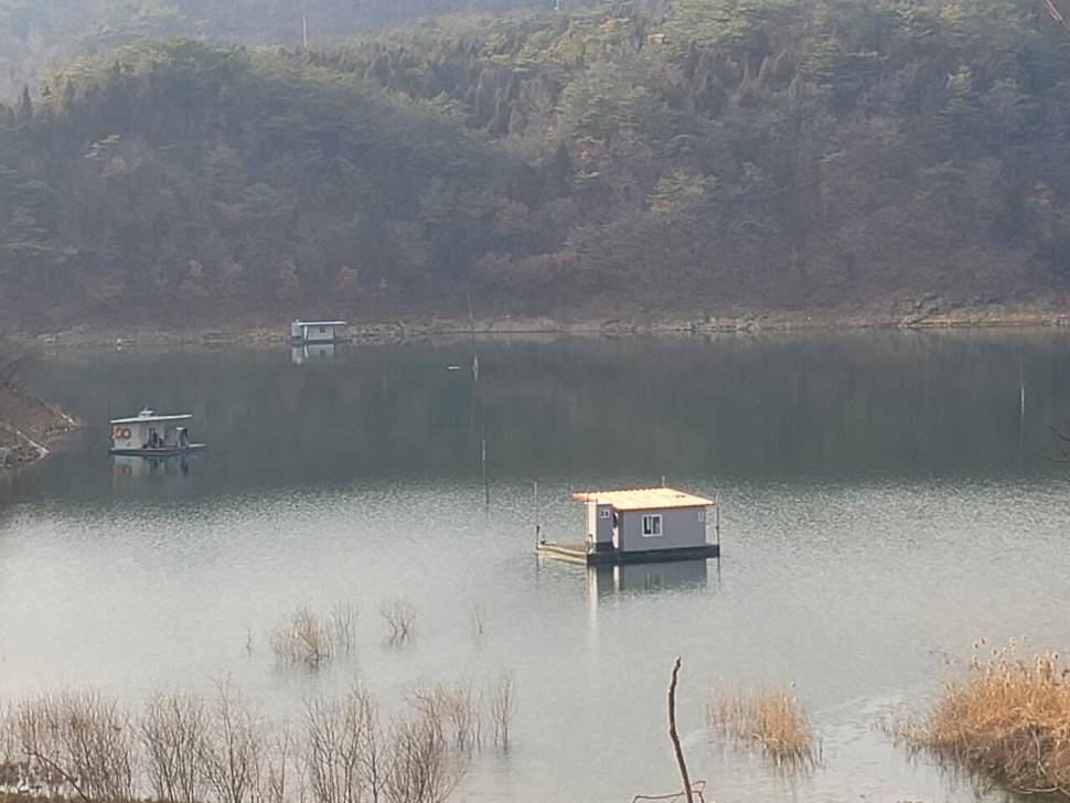 청풍실리곡낚시터 4짜외 허리급 조황입니다 (조황조행기 - 충주호조황속보)