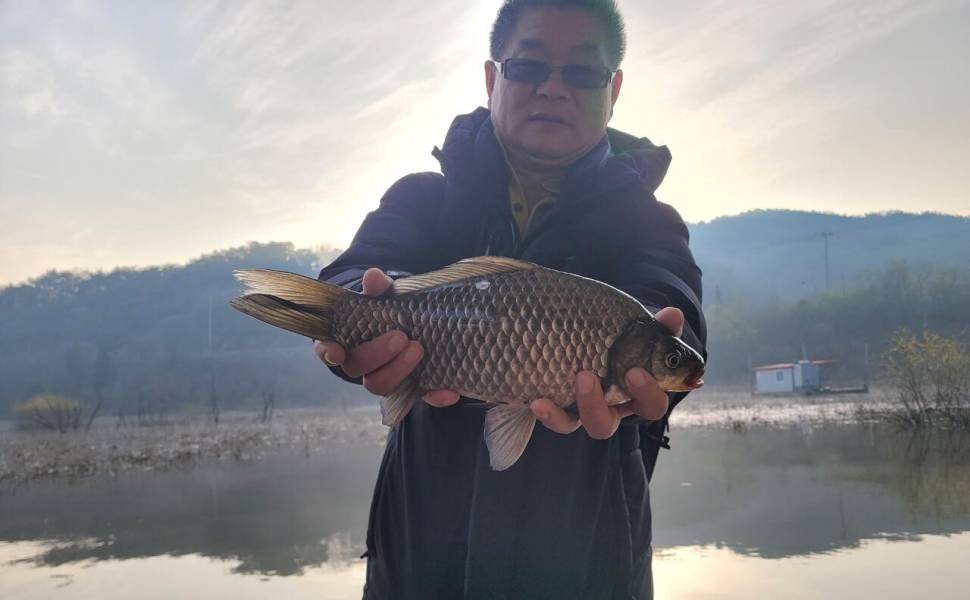 청풍실리곡낚시터 438cm4짜4짜4짜4짜 조황입니다 (조황조행기 - 충주호조황속보)