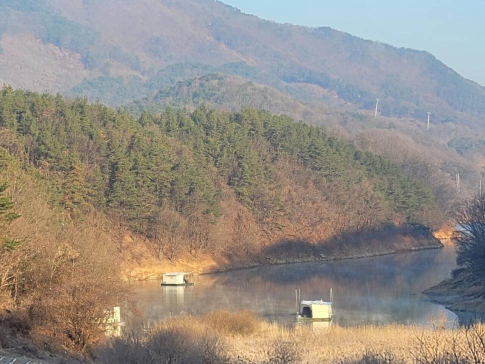 청풍신리낚시터 498cm 대물 조황입니다 (조황조행기 - 충주호조황속보)