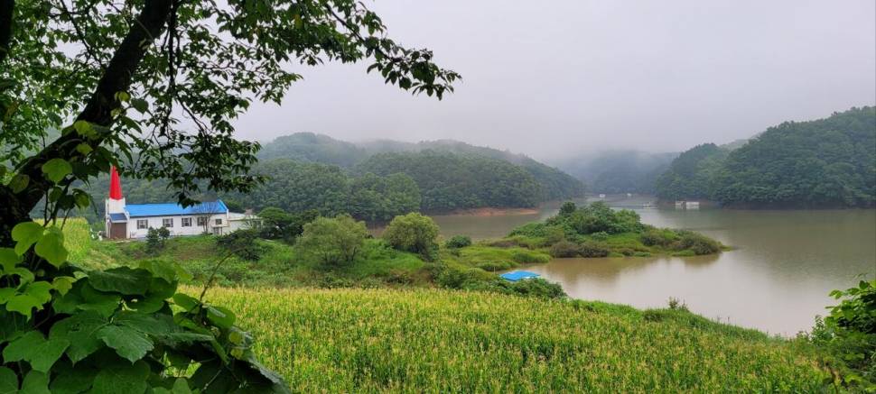 청풍신리낚시터 허리급 조황입니다 (조황조행기 - 충주호조황속보)
