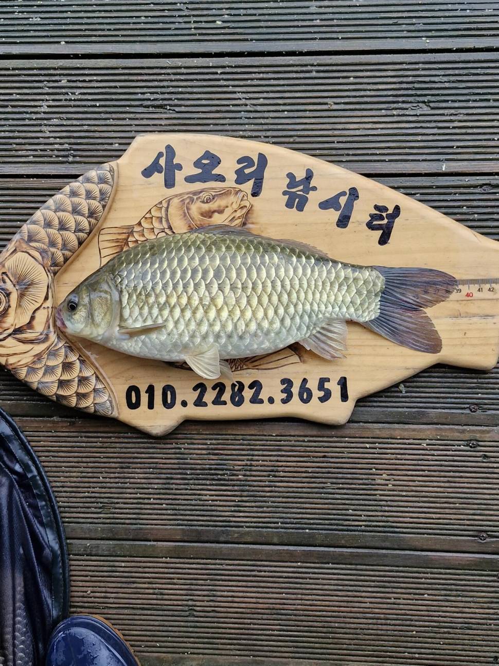 사오리낚시터 조황정보 (조황조행기 - 충주호조황속보)