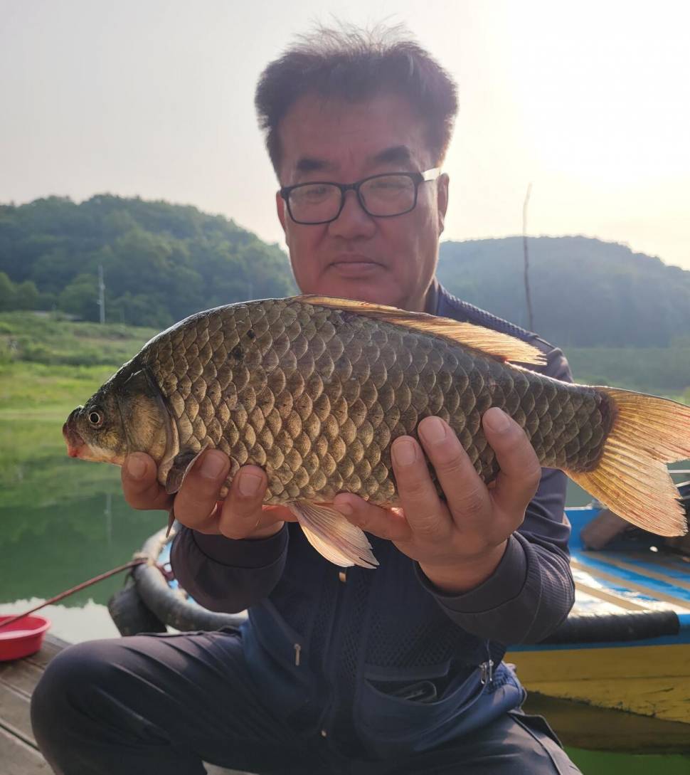 청풍실리곡낚시터 4짜외 허리급 조황입니다 (조황조행기 - 충주호조황속보)