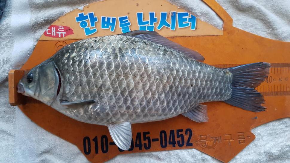 한버들 제1회 왕중왕전 대회 요약4짜포함 1부 (조황조행기 - 충주호조황속보)