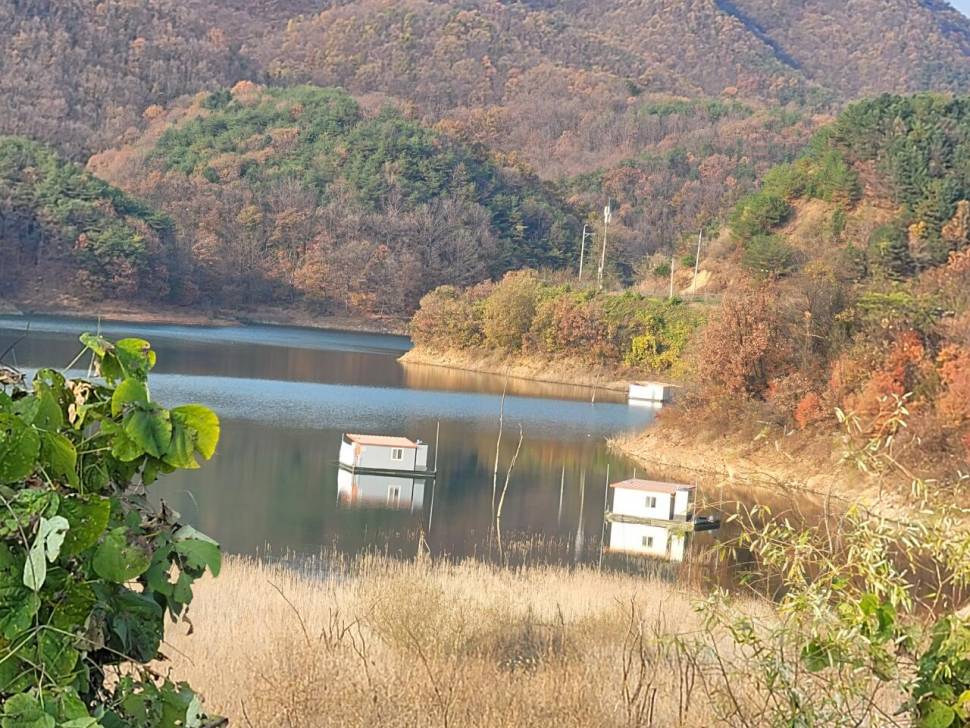 청풍실리곡낚시터 허리급 조황입니다 (조황조행기 - 충주호조황속보)