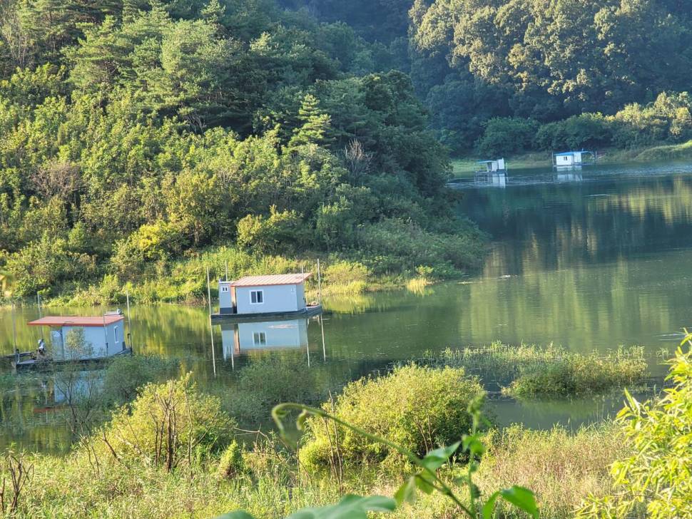 청풍 실리곡낚시터 4짜 조황입니다 (조황조행기 - 충주호조황속보)