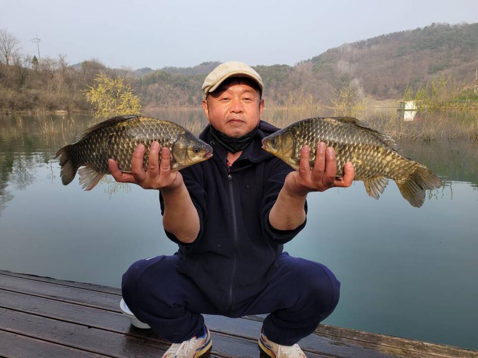 청풍실리곡낚시터 438cm4짜4짜4짜4짜 조황입니다 (조황조행기 - 충주호조황속보)
