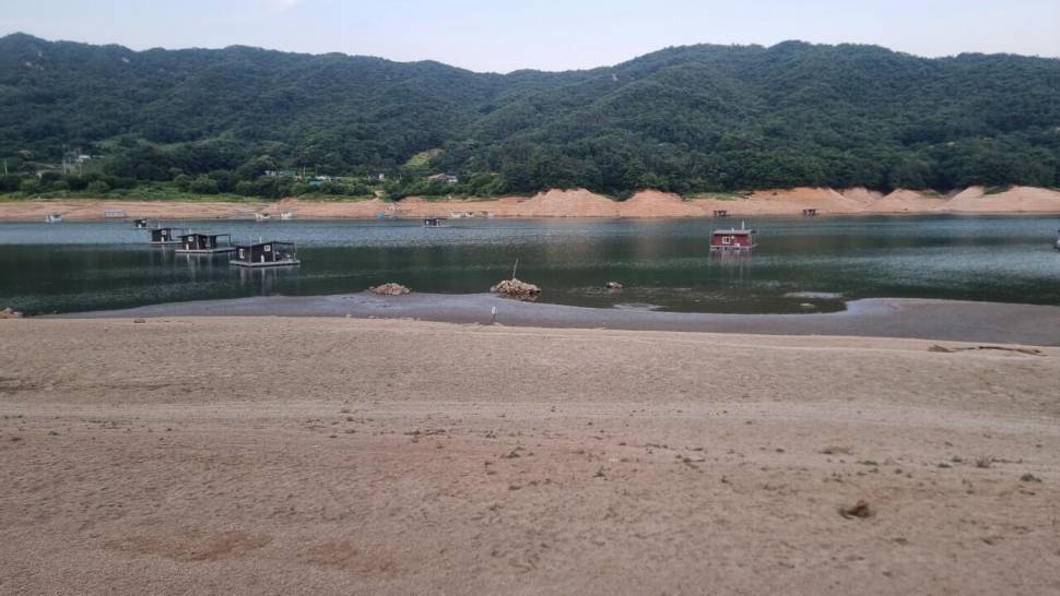 솔낚시터 허리급 조황입니다 (조황조행기 - 충주호조황속보)