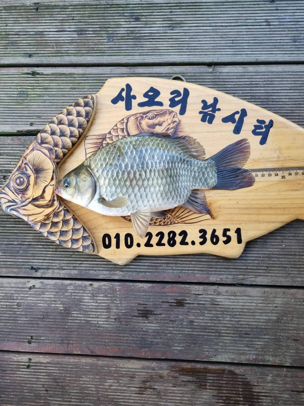 사오리 낚시터 조황정보 (조황조행기 - 충주호조황속보)