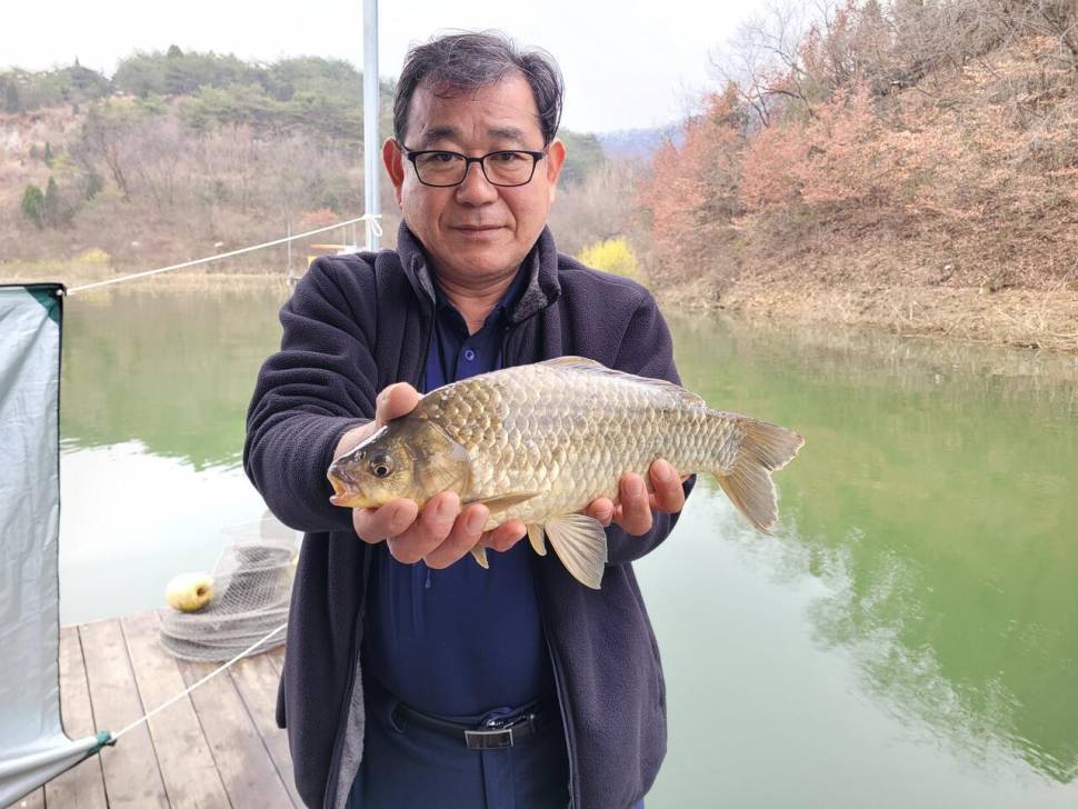 청풍실리곡낚시터 438cm4짜4짜4짜4짜 조황입니다 (조황조행기 - 충주호조황속보)