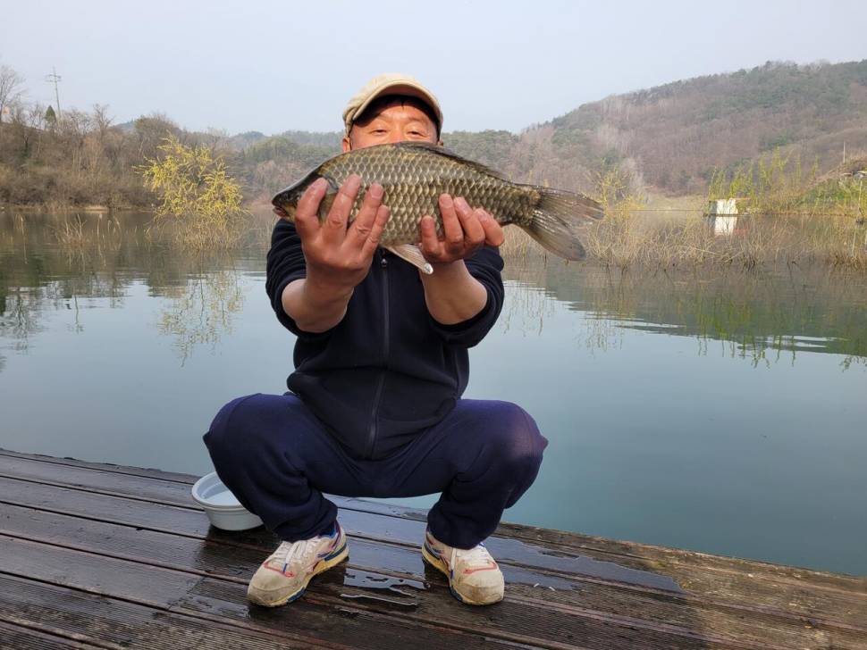 청풍실리곡낚시터 438cm4짜4짜4짜4짜 조황입니다 (조황조행기 - 충주호조황속보)