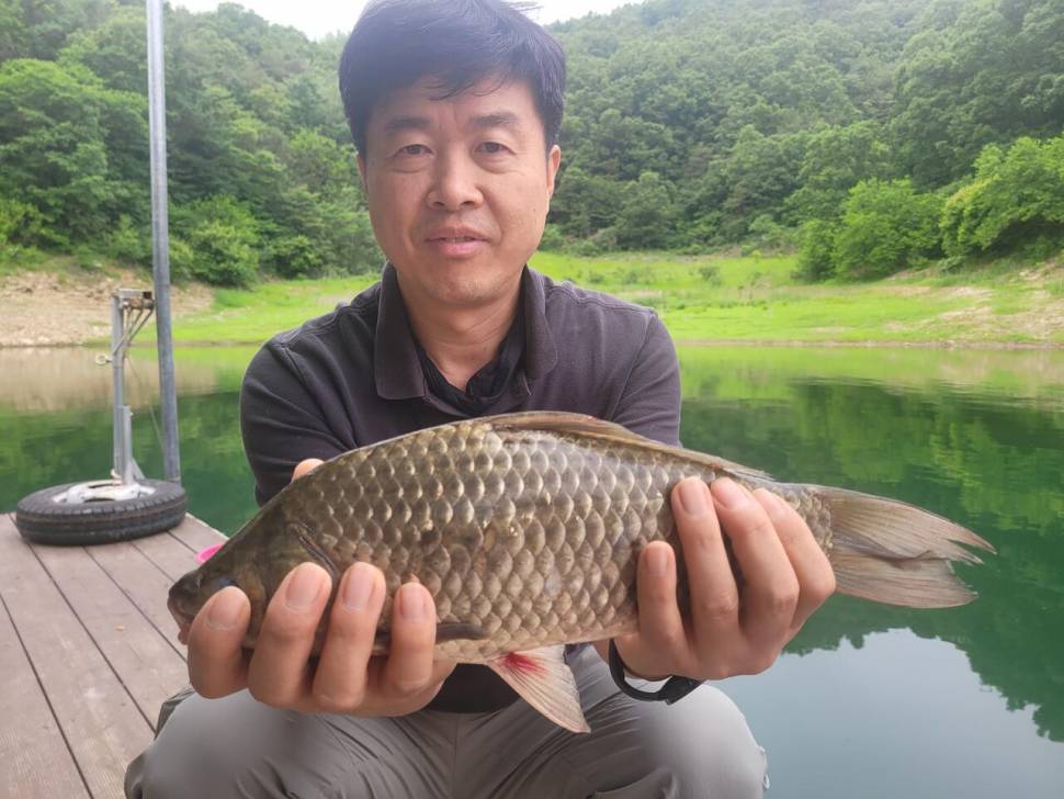 청풍실리곡낚시터 4짜외 허리급 조황입니다 (조황조행기 - 충주호조황속보)
