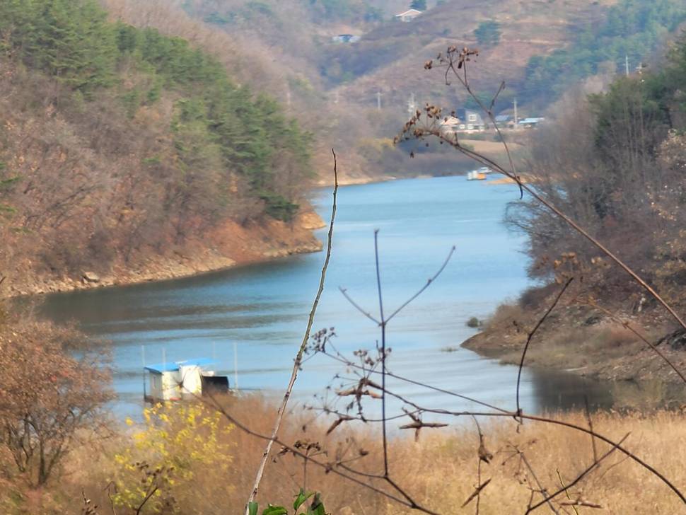 청풍신리낚시터 41cm외 허리급3수입니다 (조황조행기 - 충주호조황속보)
