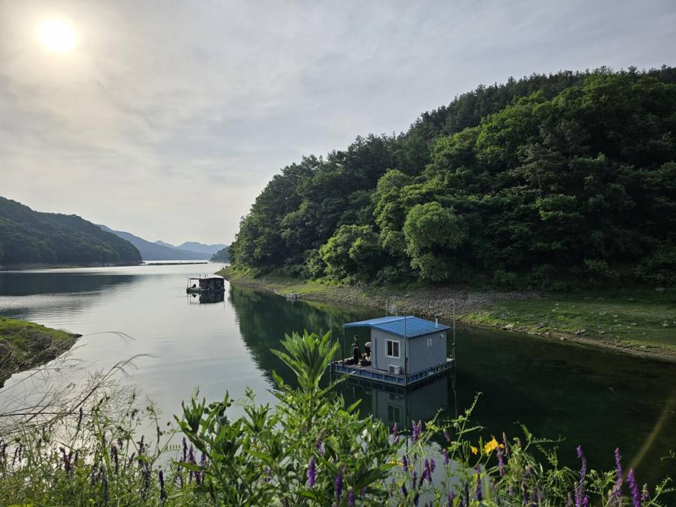 충주호목벌 주말조황 (조황조행기 - 충주호조황속보)