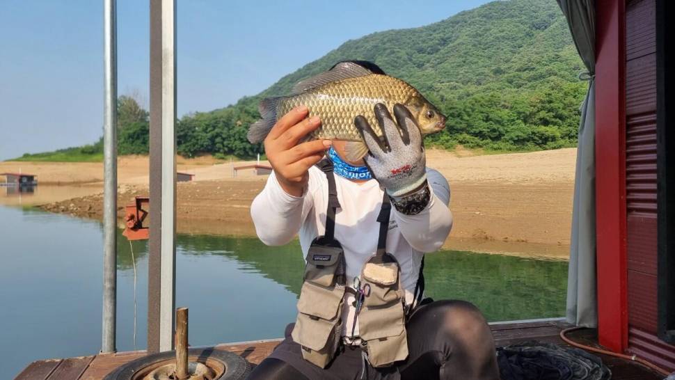 솔낚시터 허리급 조황입니다 (조황조행기 - 충주호조황속보)