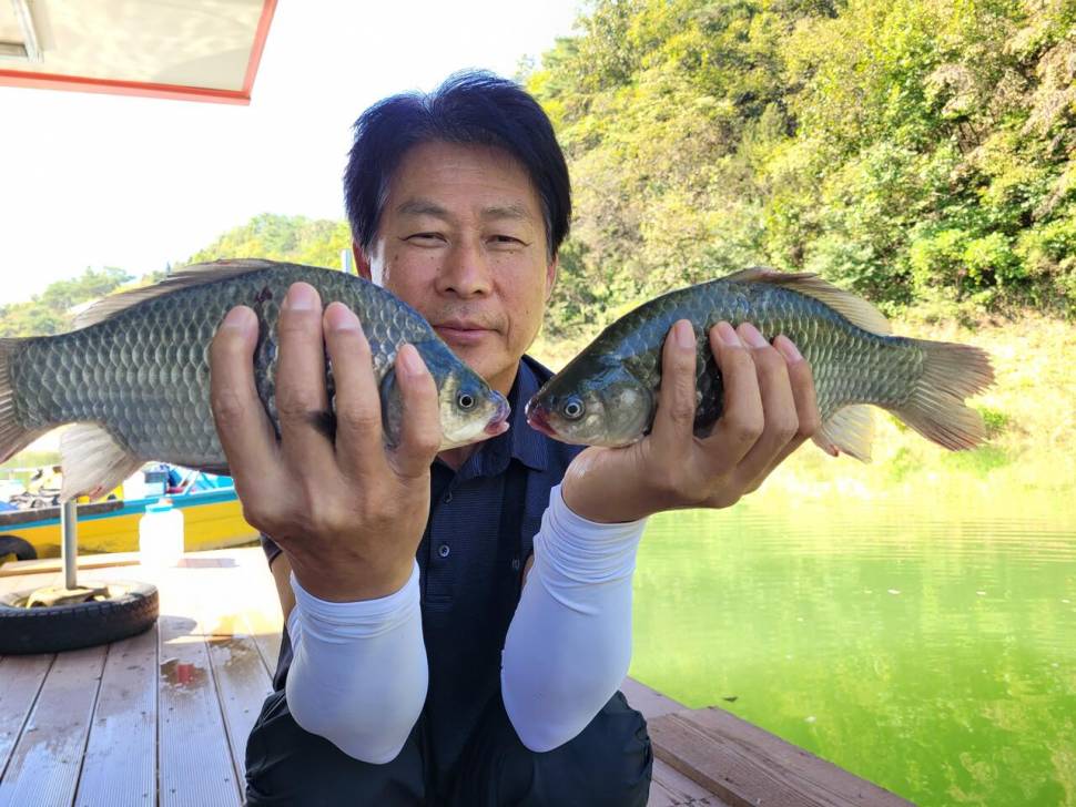 청풍실리곡낚시터 4짜외 허리급 조황입니다 (조황조행기 - 충주호조황속보)