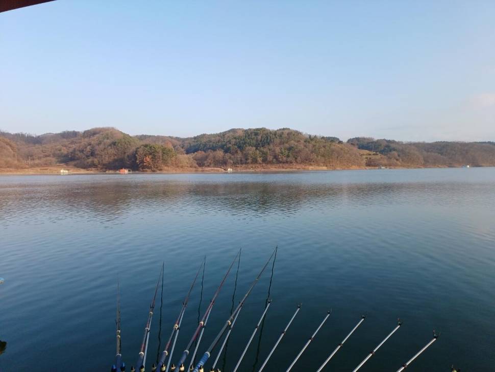 제일낚시터 조황정보 (조황조행기 - 충주호조황속보)