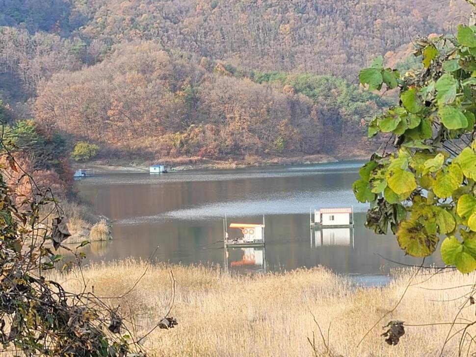 청풍실리곡낚시터 허리급 조황입니다 (조황조행기 - 충주호조황속보)