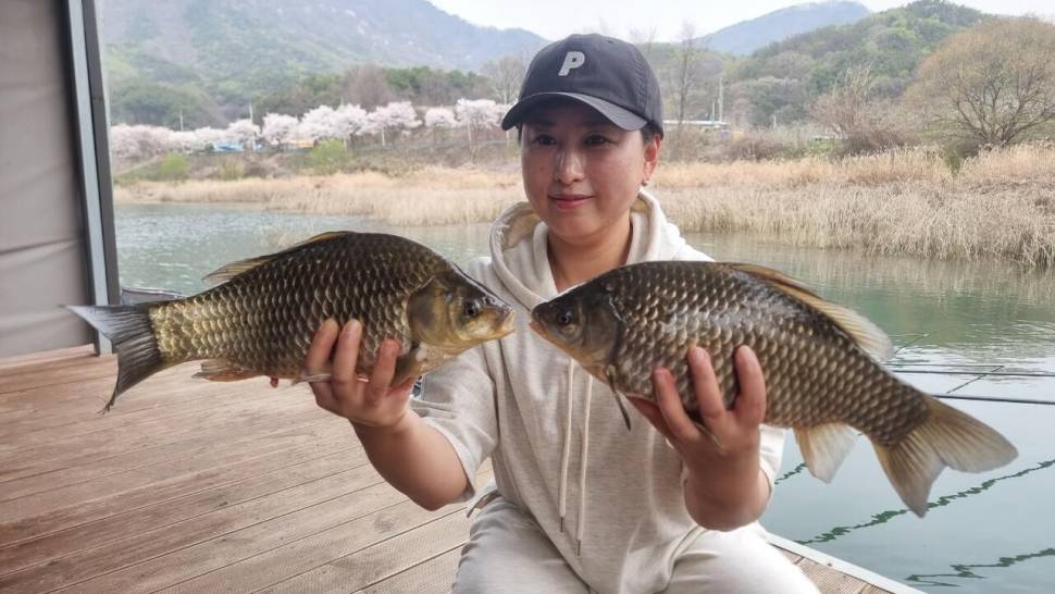 솔낚시터 주중 사짜 및 월척 조황 소식입니다 (조황조행기 - 충주호조황속보)