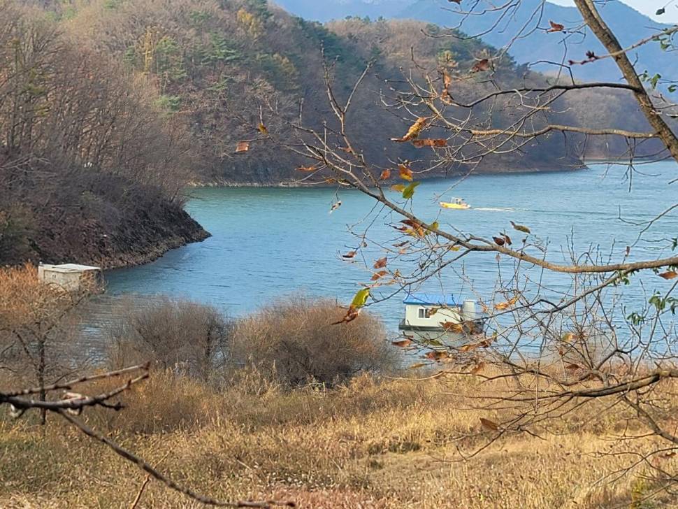 청풍신리낚시터 허리급 조황입니다 (조황조행기 - 충주호조황속보)