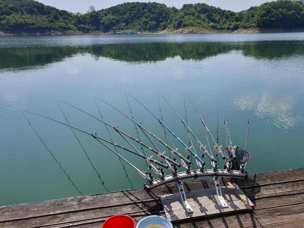 용곡 김기호 낚시터 조황정보 입니다 (조황조행기 - 충주호조황속보)