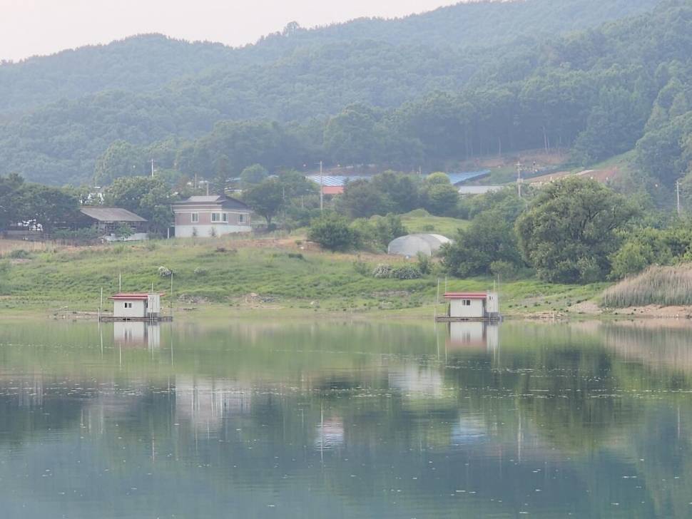청풍 한버들 4짜 조황입니다 (조황조행기 - 충주호조황속보)