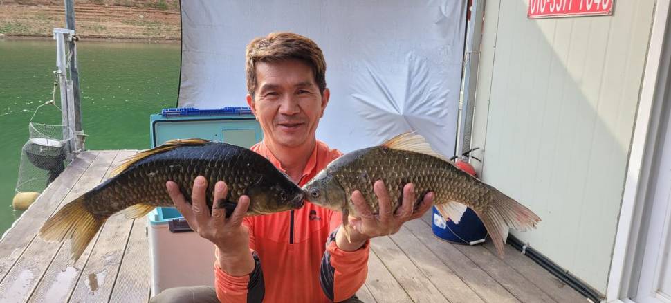 청풍신리낚시터 44cm4짜 조황입니다 (조황조행기 - 충주호조황속보)