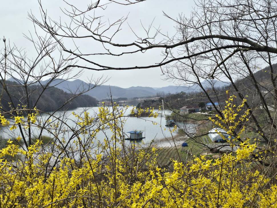 청풍신리낚시터 435cm외 허리급 조황입니다 (조황조행기 - 충주호조황속보)