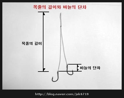 떡밥낚시에 목줄단차조절을 어떻게하시나요 (월척지식 - 기타지식)