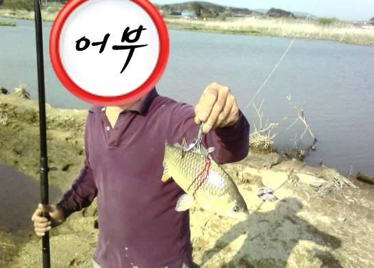 물고기 오니 사람도… 창원천 얌체 낚시꾼 등장 (월척지식 - 기타지식)