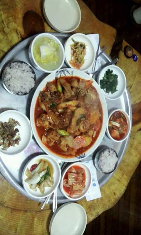 봇또랑 하우스에서 (유료터정보 - 유료터조행기)