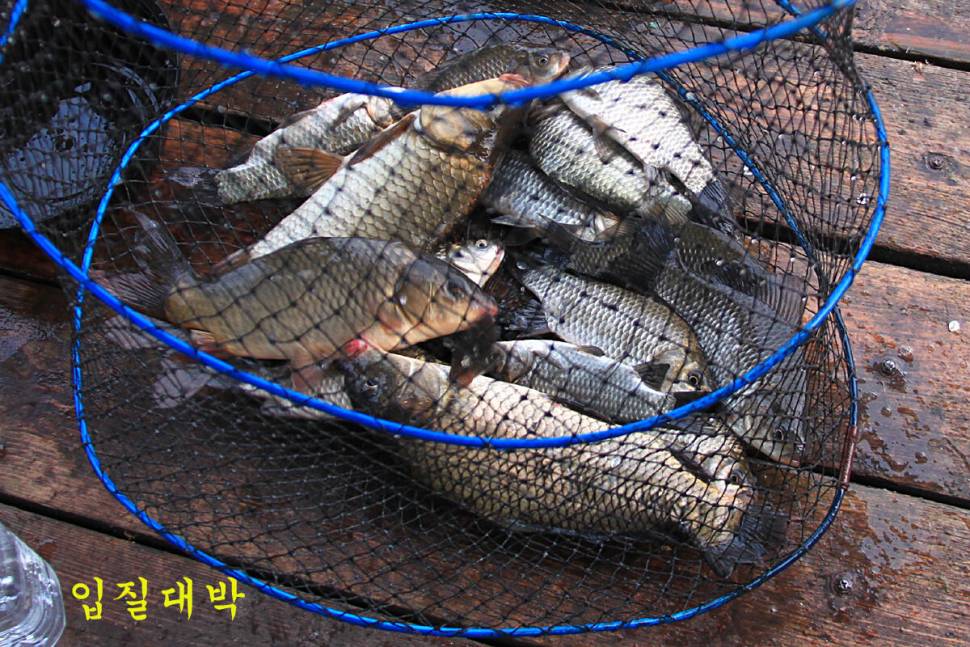 이보다 더 좋을 수는 없다 (유료터정보 - 유료터조행기)