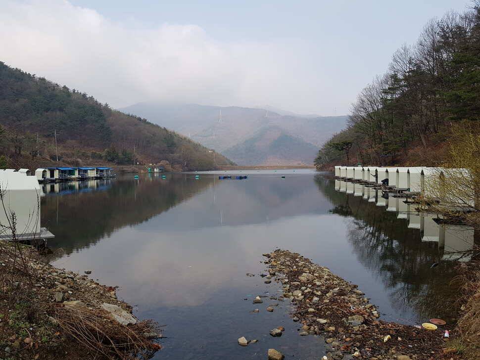 오산나그네의 천평낚시터 조행기 (유료터정보 - 유료터조행기)