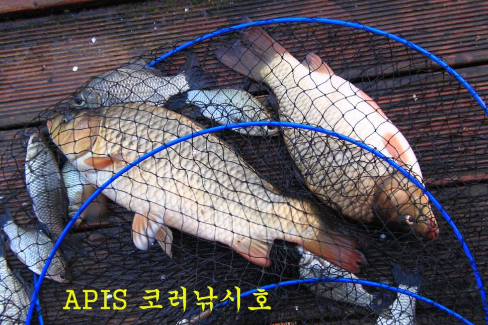 이보다 더 좋을 수는 없다 (유료터정보 - 유료터조행기)