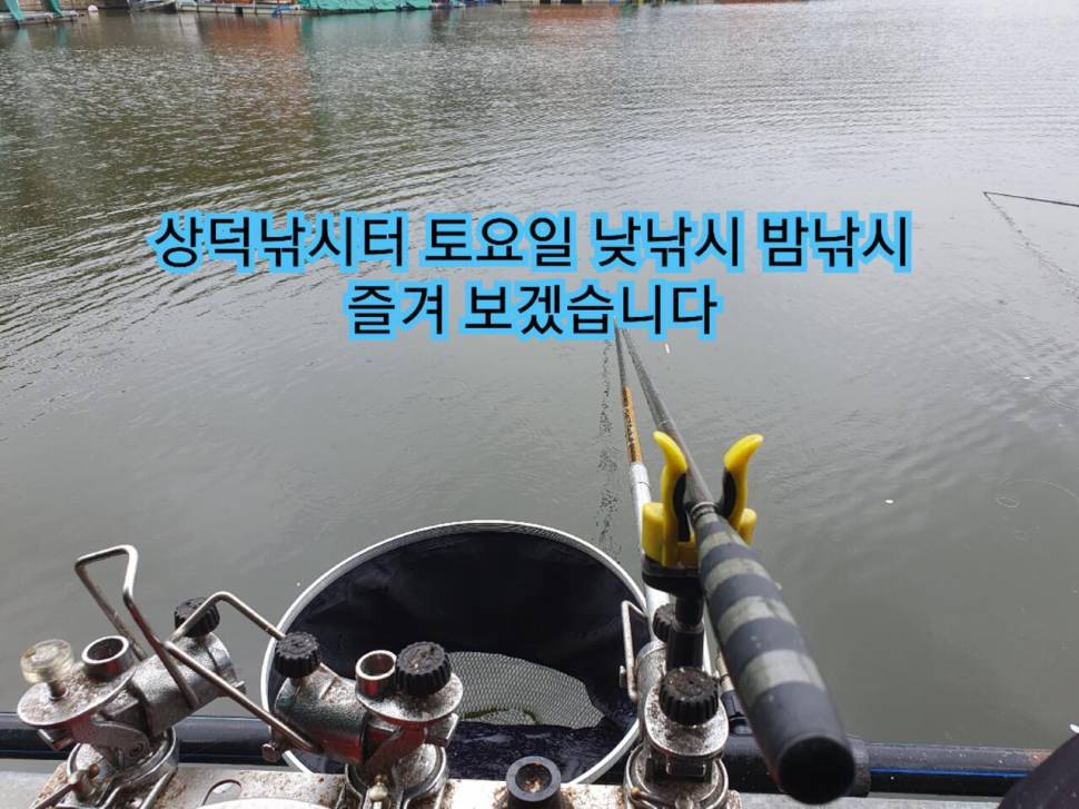 상덕낚시터 낮낚시 밤낚시 (유료터정보 - 유료터조행기)