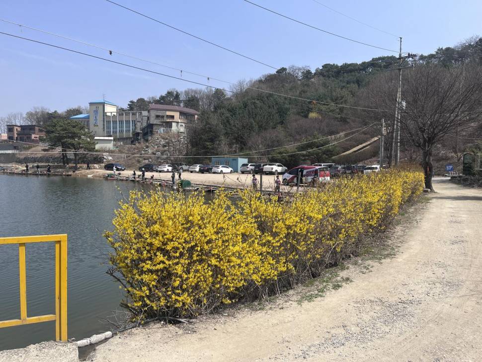 4월 첫 주말 장광 낚시터 출조 (유료터정보 - 유료터조행기)