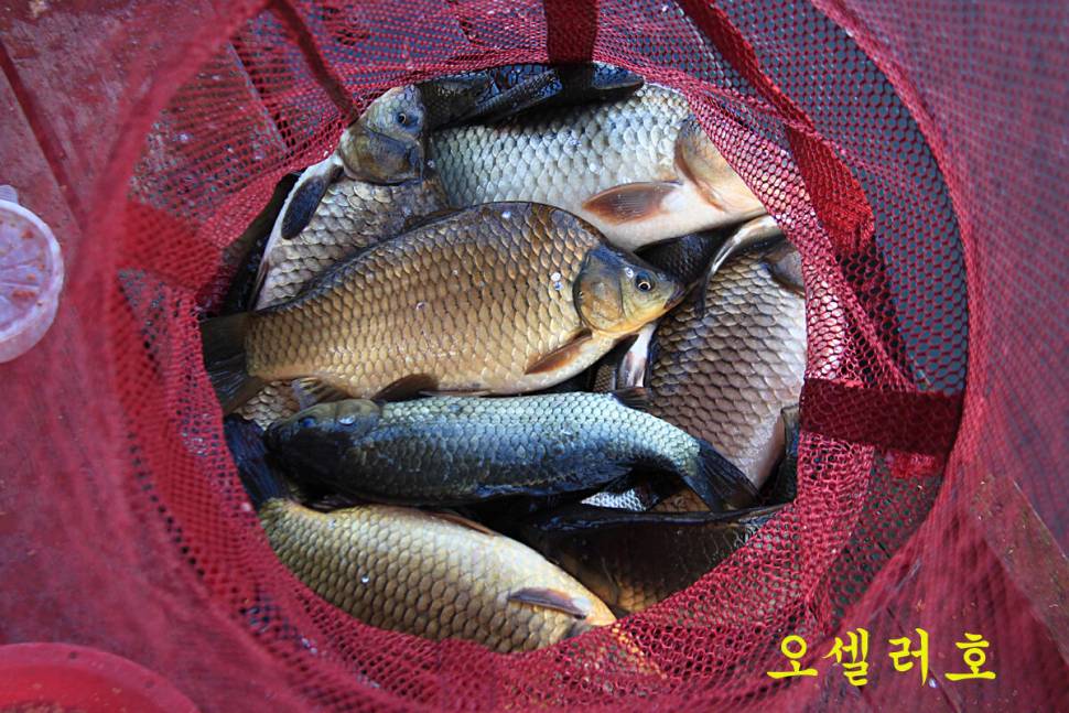 이보다 더 좋을 수는 없다 (유료터정보 - 유료터조행기)