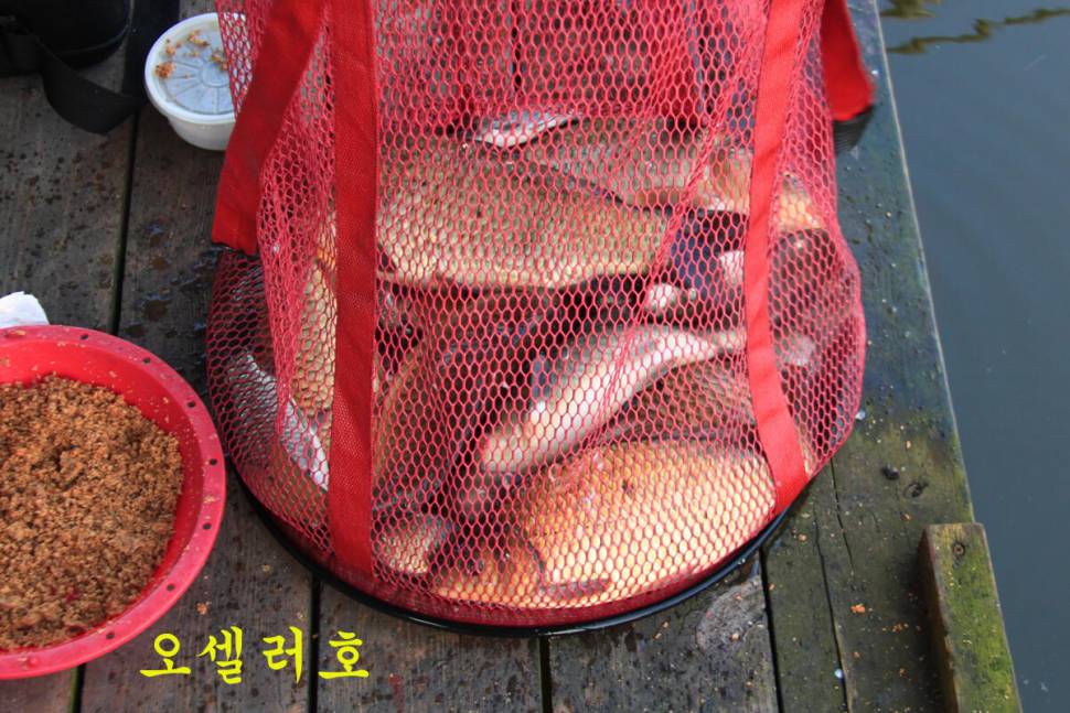 이보다 더 좋을 수는 없다 (유료터정보 - 유료터조행기)