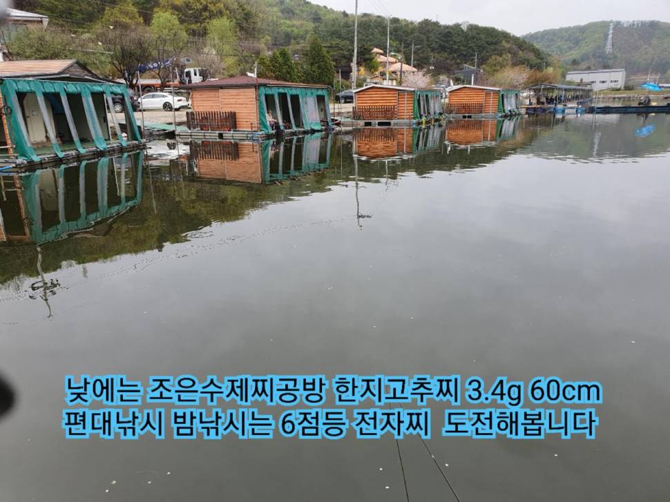 상덕낚시터 낮낚시 밤낚시 (유료터정보 - 유료터조행기)