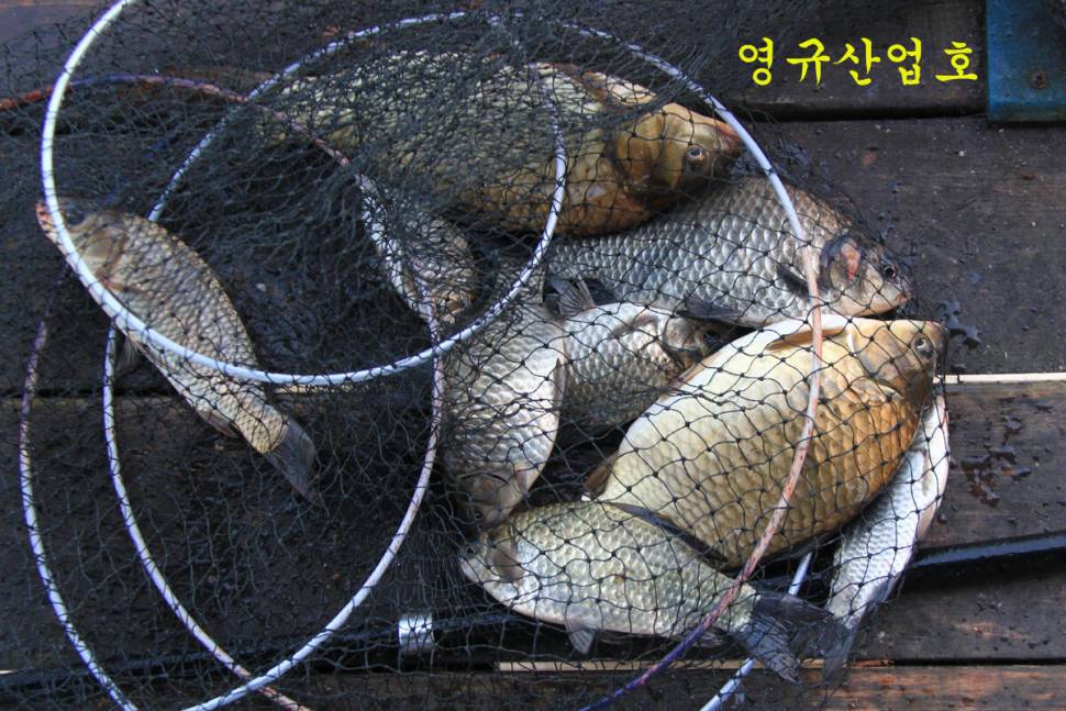 이보다 더 좋을 수는 없다 (유료터정보 - 유료터조행기)