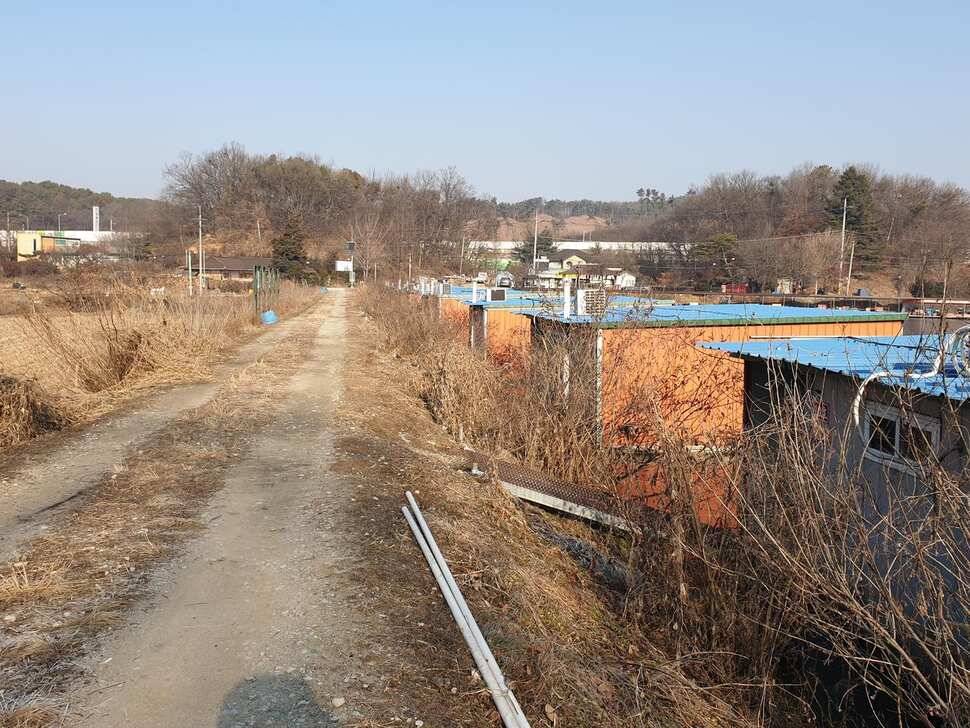 각평낚시터 (유료터정보 - 유료터조행기)
