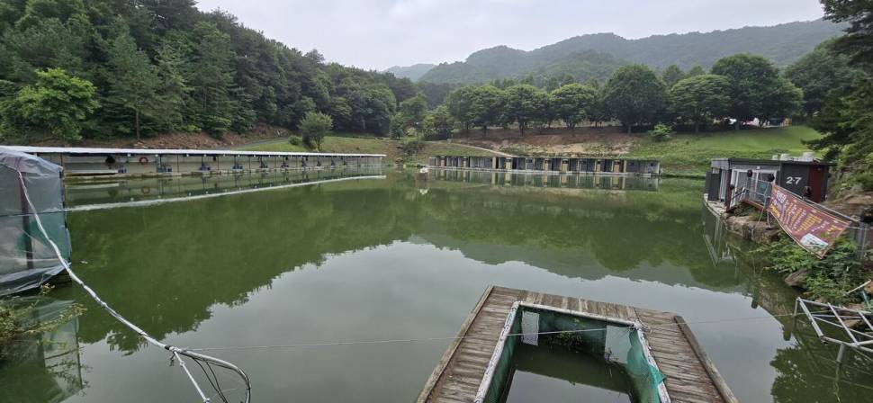 폭우전일 여주관광농원 (유료터정보 - 유료터조행기)