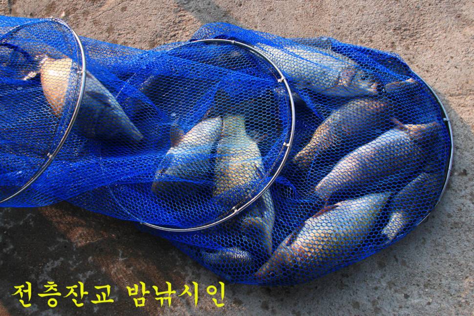 이보다 더 좋을 수는 없다 (유료터정보 - 유료터조행기)