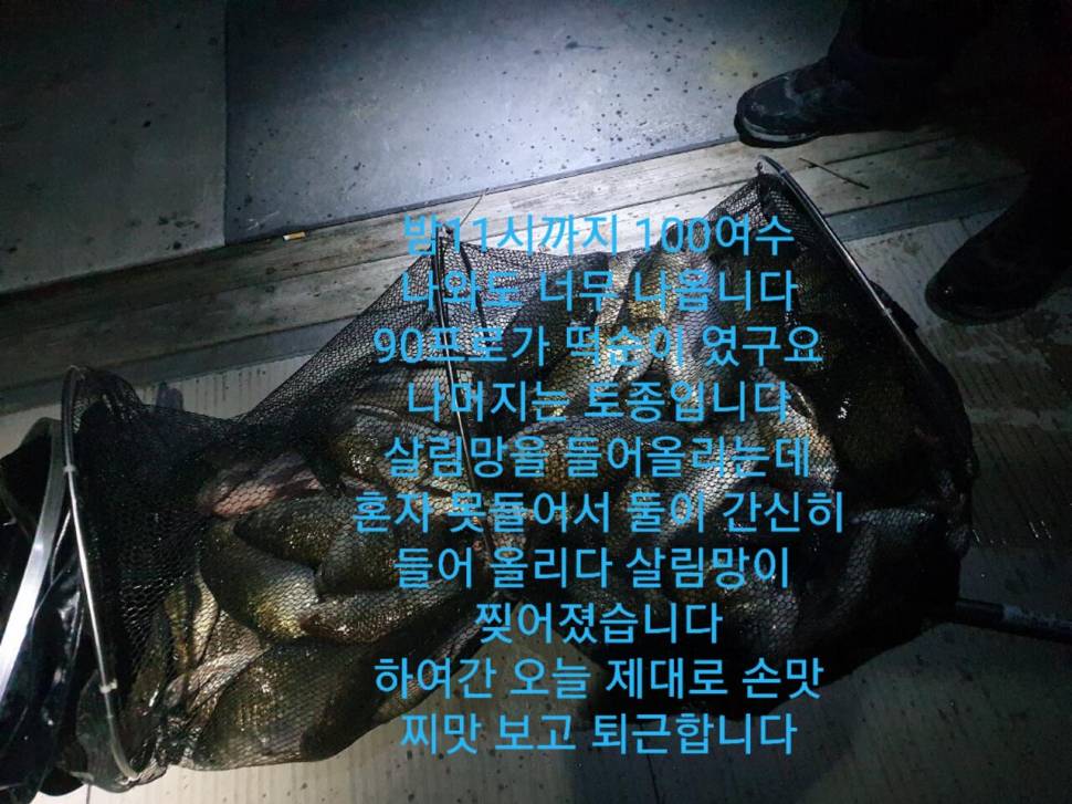 상덕낚시터 낮낚시 밤낚시 (유료터정보 - 유료터조행기)