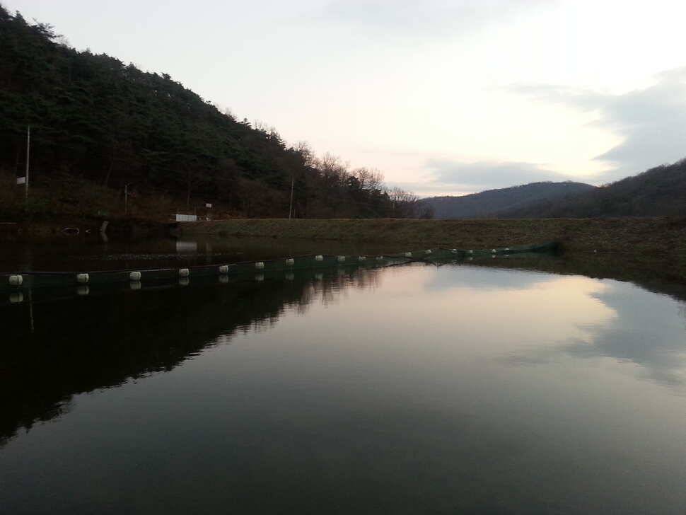 겨울철 구봉지에서 (유료터정보 - 유료터조행기)