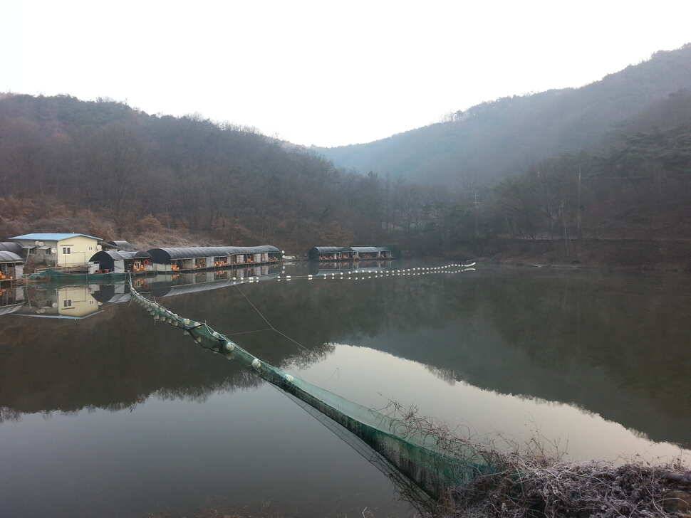 겨울철 구봉지에서 (유료터정보 - 유료터조행기)
