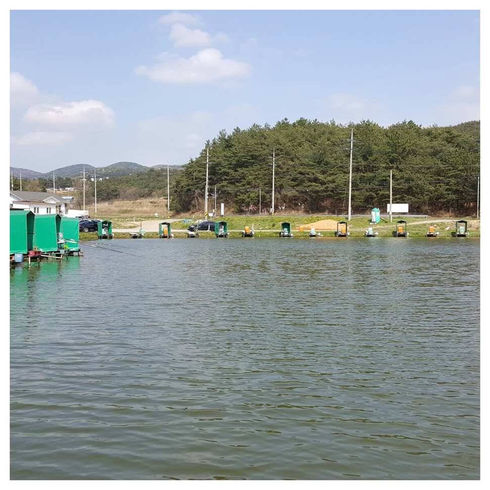 411일 경주 동산낚시터 (유료터정보 - 유료터조행기)