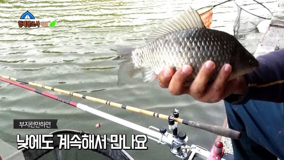 리빙tv형제꽝조사 안성두메지에서의멋진하루 (유료터정보 - 유료터조행기)