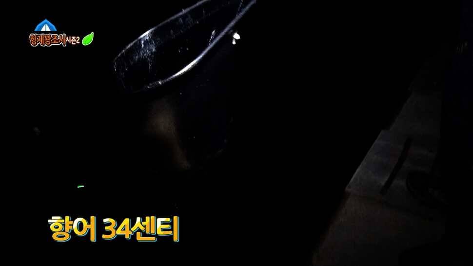리빙tv형제꽝조사 안성두메지에서의멋진하루 (유료터정보 - 유료터조행기)