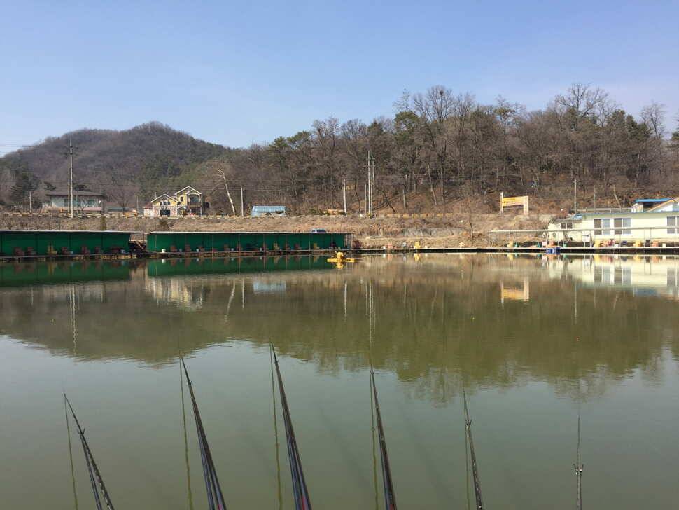 오산나그네의 월향낚시터 조행기 (유료터정보 - 유료터조행기)