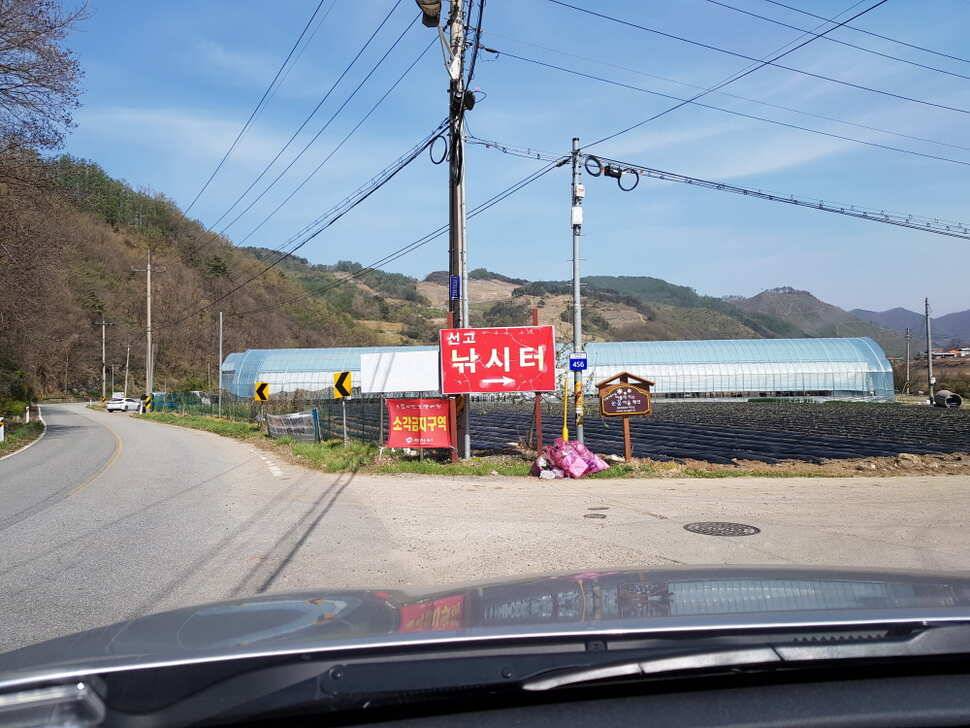 오산나그네의 제천 선고지낚시터 조행기 (유료터정보 - 유료터조행기)